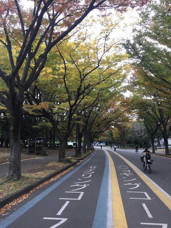 駒沢公園