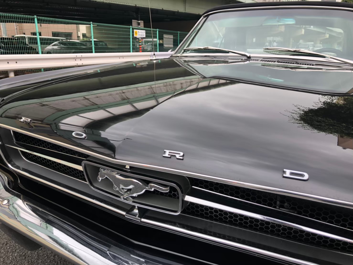 １９６５年 フォード マスタングの点検整備を致しました！！ | 東京都世田谷区Ge3y's株式会社（ジェミーズ）、新車、中古車  、カスタムならお任せください。